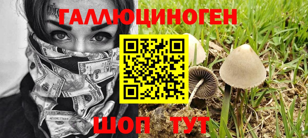 Галлюциногенные грибы Cubensis  Вход с VPN  где продают   Энгельс 